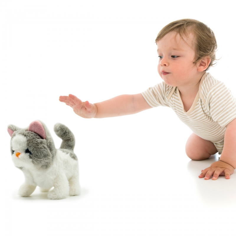 Pugs At Play Vaikštanti Katytė Sasha