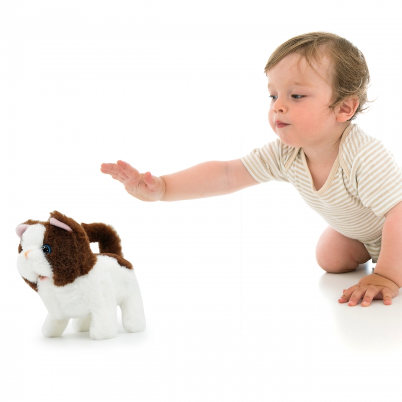 Pugs At Play Vaikštanti Katytė Bella