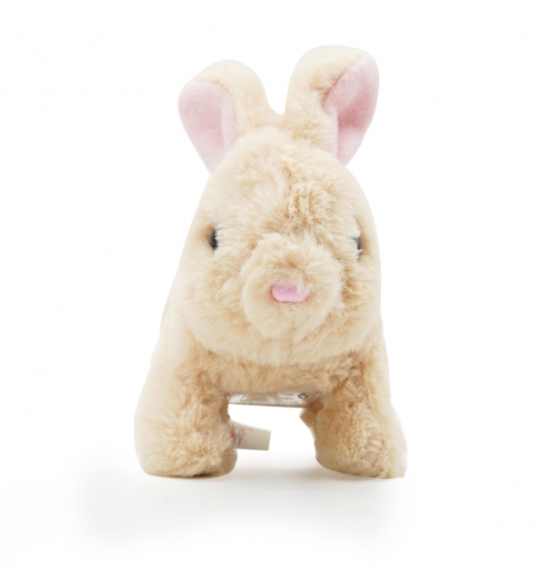 Pugs At Play Šokinėjantis Triušiukas Cookie