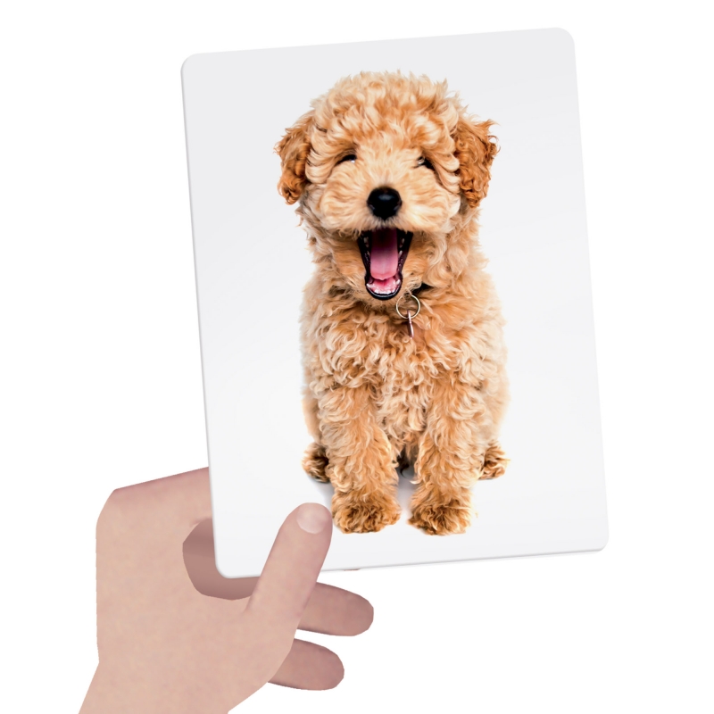 Headu Montessori Lavinančios Kortelės Lytėjimas