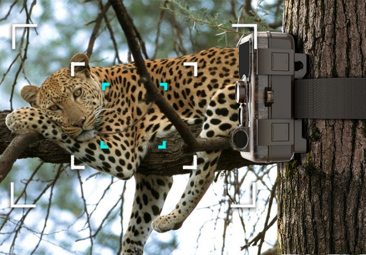 Medžioklinė Kamera Sjcam M50 Taiga