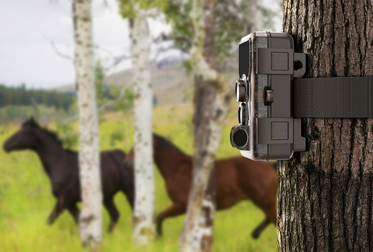 Medžioklinė Kamera Sjcam M50 Taiga