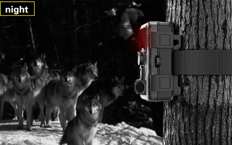 Medžioklinė Kamera Sjcam M50 Taiga