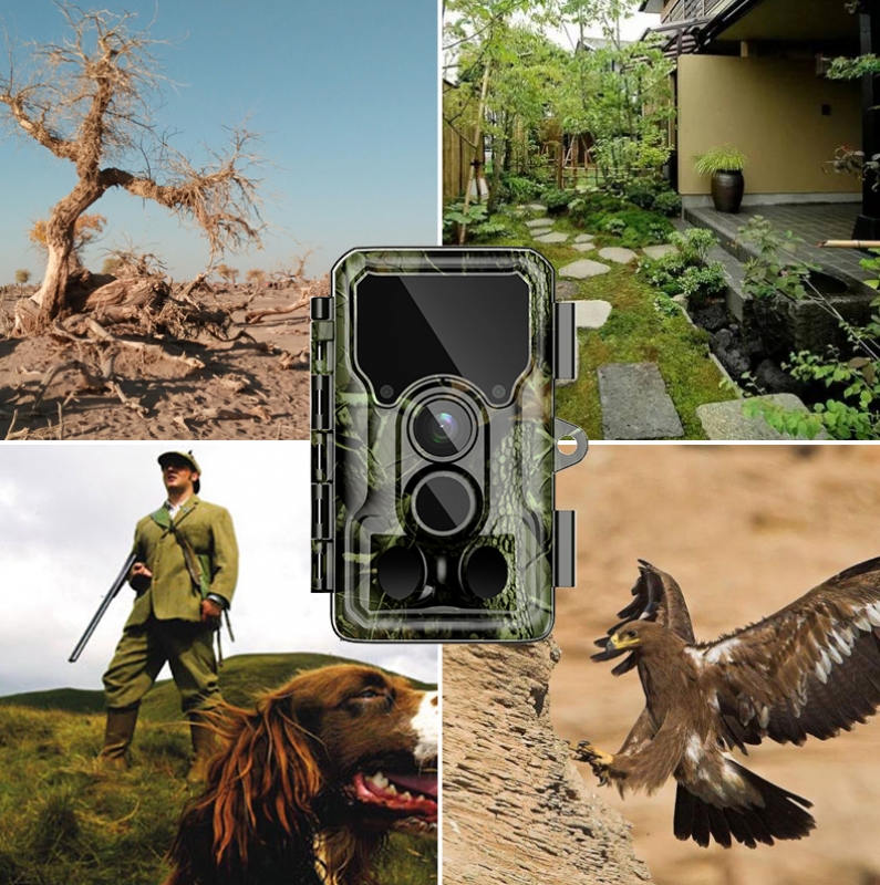Medžioklinė Kamera Sjcam M50 Taiga
