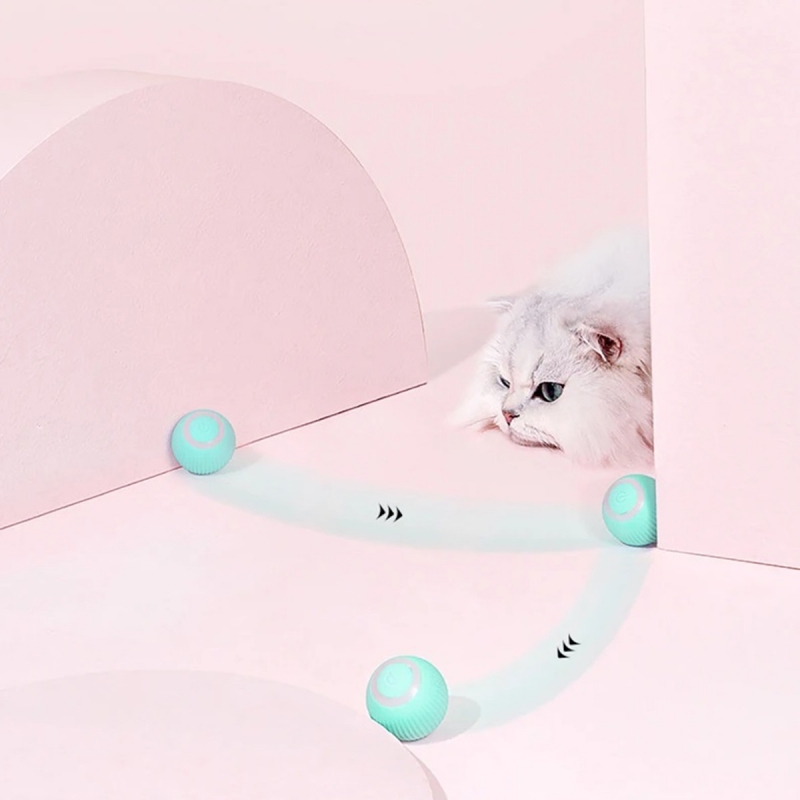 Interaktyvus Kumulys Augintiniui