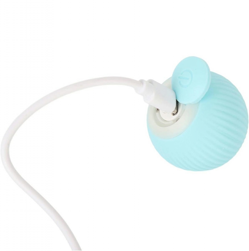 Interaktyvus Kumulys Augintiniui