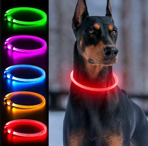 LED Šviečianti Apykaklė, Spalvota