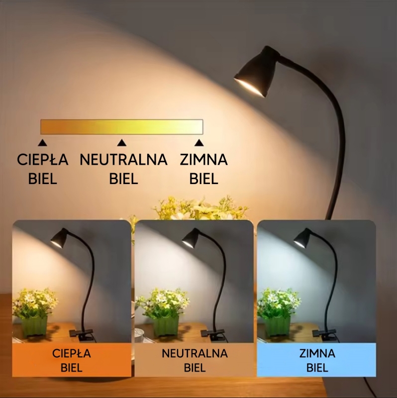 LED Stalinis Šviestuvas Su Spaustuku, 5 W