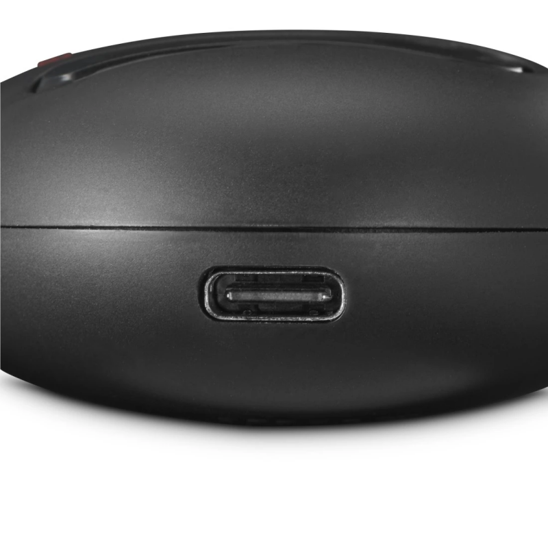 Ausinės Hama H4400