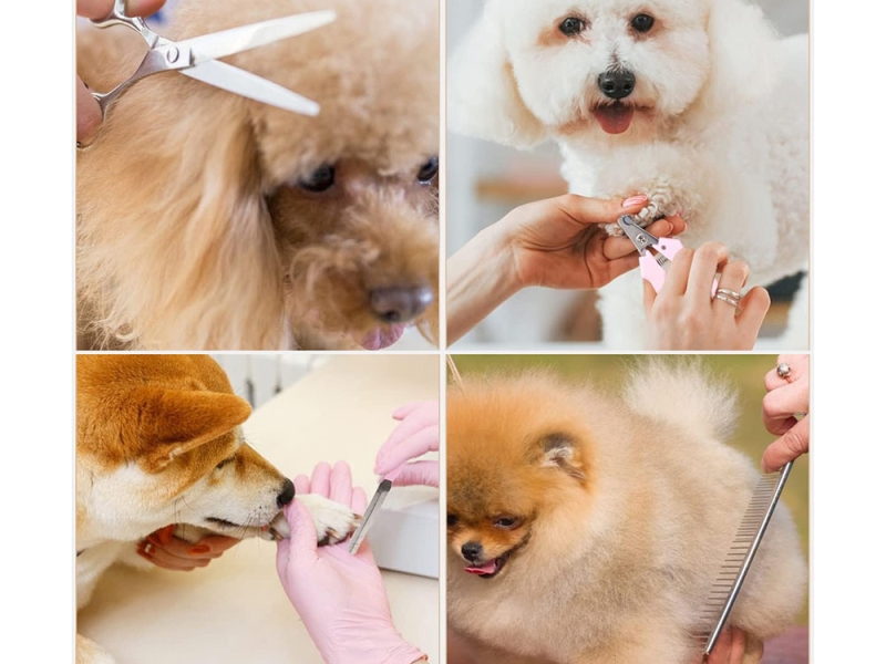 Akumuliatorinė Augintinių Kirpimo Mašinėlė Su Priedais