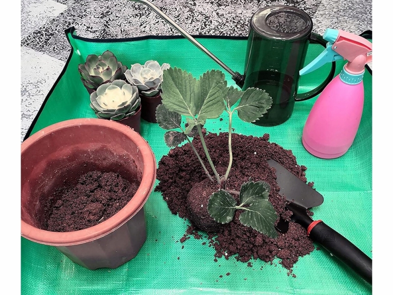 Augalų Persodinimo Kilimėlis, 82 x 82 cm