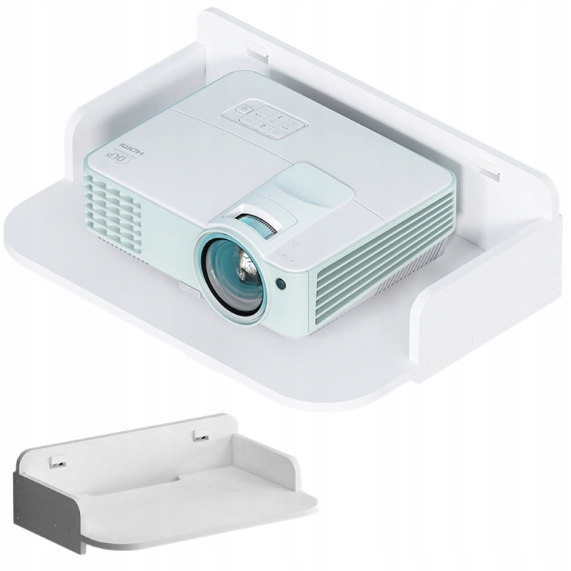 Sieninė Lentyna, Balta Matinė