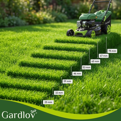 Savaeigė Benzininė Vejapjovė Gardlov Drivex, 149 cm³, 2,3 kW, 406 mm