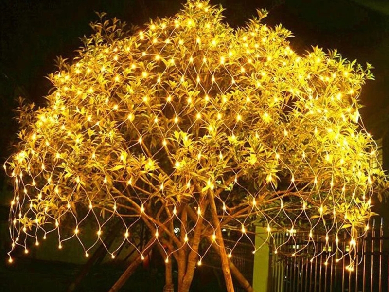 Girlianda, 100 LED, 1 x 2 m, Šilta Balta